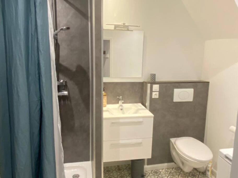 Au Petit Bragard- Triplex Proche Centre Ville サン・ディジエ エクステリア 写真
